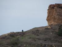 Melliha, Mosta e dintorni